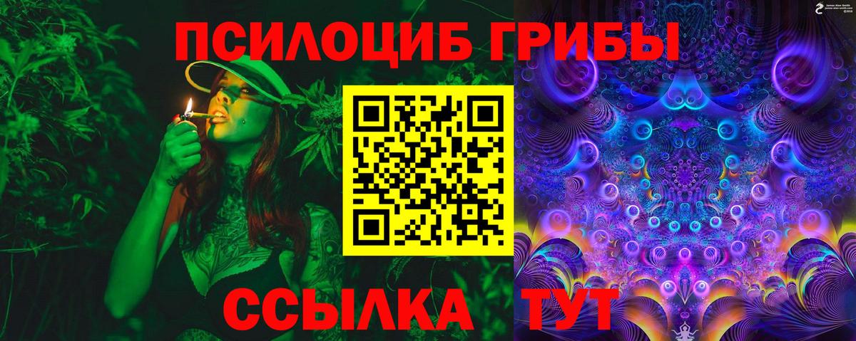 где купить наркоту  Галлюциногенные грибы мухоморы  Вход с VPN  Спасск-Дальний  Псилоцибиновые грибы Magic Shrooms 