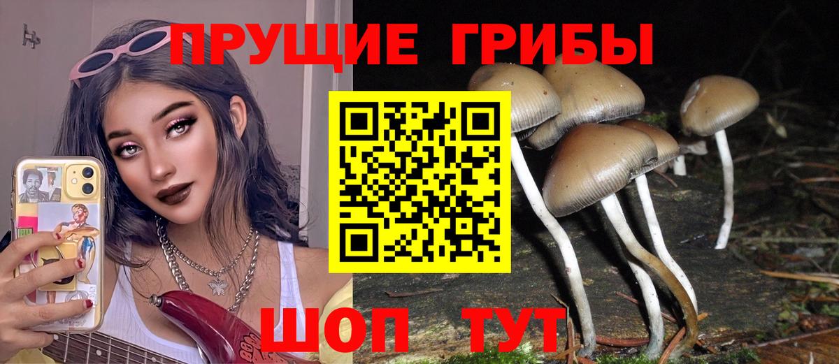 Галлюциногенные грибы мицелий Спасск-Дальний